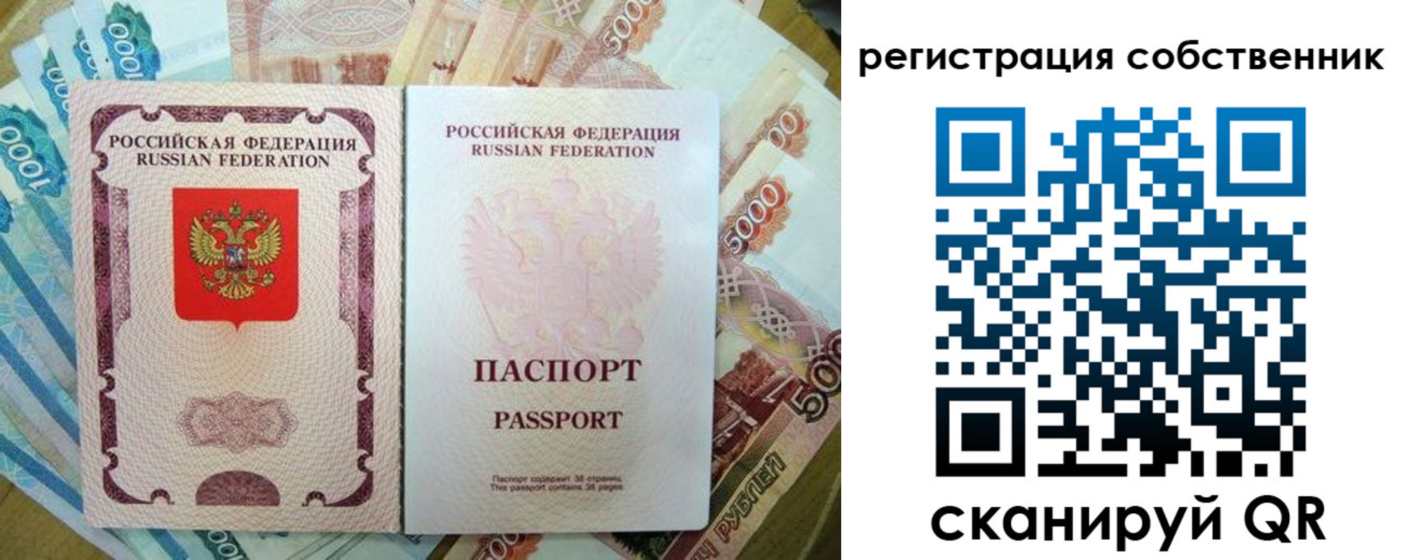 прописка гарантия в Псковской области